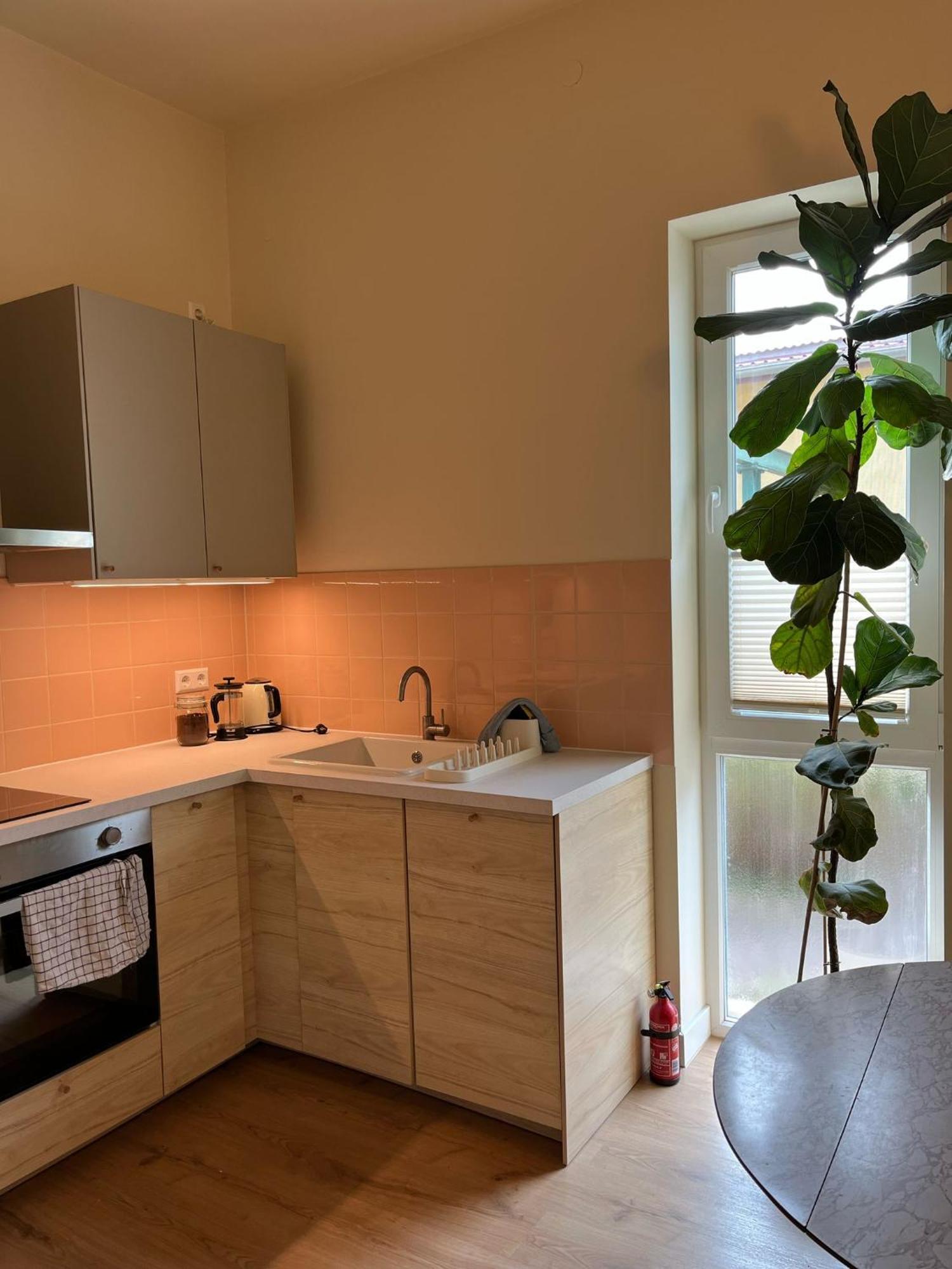 Guesthouse With 3 Apartments, Just Outside Berlin, Near To Tesla Burig Dış mekan fotoğraf